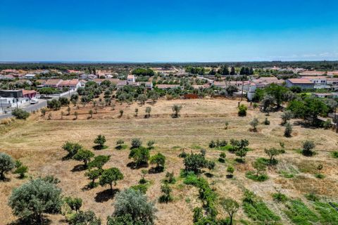 Farm hus i Ermidas do Sado, Setubal, Ermidas do Sado - € 2.000.000 | Ref: C0222-06384 - foto 39