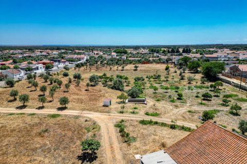 Farm hus i Ermidas do Sado, Setubal, Ermidas do Sado - € 2.000.000 | Ref: C0222-06384 - foto 40