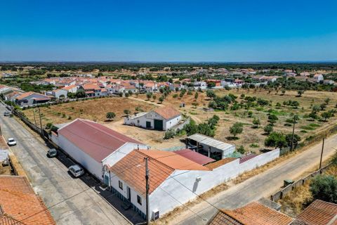 Farm hus i Ermidas do Sado, Setubal, Ermidas do Sado - € 2.000.000 | Ref: C0222-06384 - foto 43