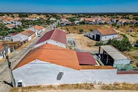 Farm hus i Ermidas do Sado, Setubal, Ermidas do Sado - € 2.000.000 | Ref: C0222-06384 - foto 44