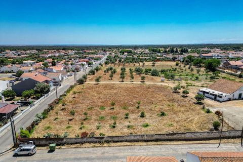 Farm hus i Ermidas do Sado, Setubal, Ermidas do Sado - € 2.000.000 | Ref: C0222-06384 - foto 3