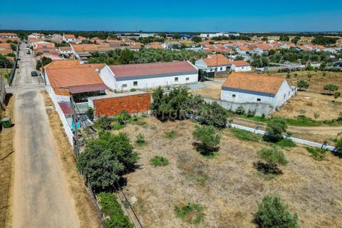 Farm hus i Ermidas do Sado, Setubal, Ermidas do Sado - € 2.000.000 | Ref: C0222-06384 - foto 47