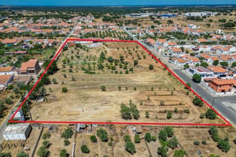 Farm hus i Ermidas do Sado, Setubal, Ermidas do Sado - € 2.000.000 | Ref: C0222-06384 - foto 2