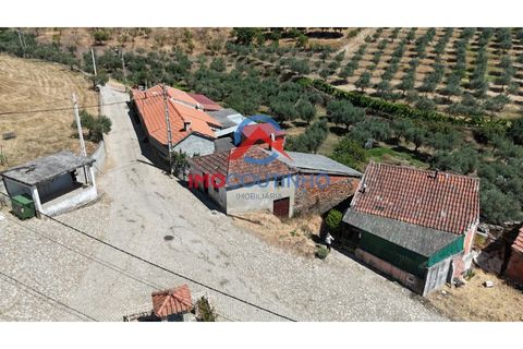 Villa a Noura e Palheiros, Vila Real, Noura e Palheiros - € 25.000 | Ref: CAS_2027 - foto 6