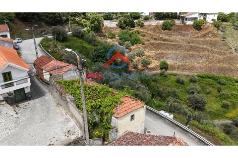 Villa a Sabrosa, Vila Real, Sabrosa - € 19.900 | Ref: CAS_3022 - foto 5