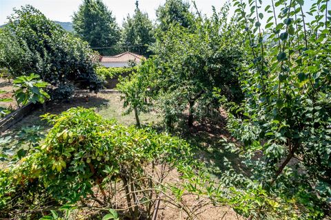 Villa a Barcelos, Braga, Barcelos - € 649.000 | Ref: 254250197 - foto 30