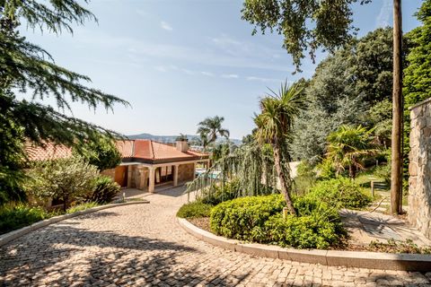Villa a Barcelos, Braga, Barcelos - € 649.000 | Ref: 254250197 - foto 39