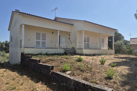 Helårsgrund i Ansiao, Leiria, Ansiao - € 200.000 | Ref: C0381-XLRE-0170-hs - foto 30