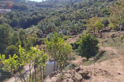 Villa a Soldano, Imperia, Soldano - € 290.000 | Ref: 1117 - foto 3