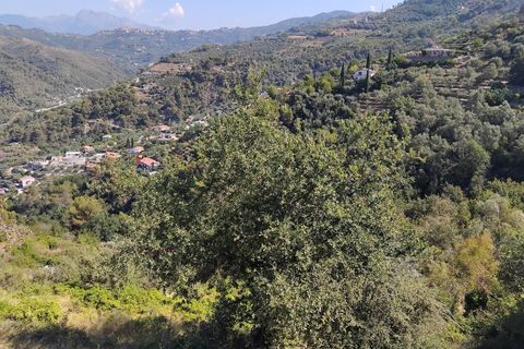 Villa a Soldano, Imperia, Soldano - € 290.000 | Ref: 1117 - foto 47