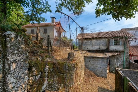 Helårsgrund i Vade, Braga, Vade - € 87.500 | Ref: KAZ_245 - foto 22