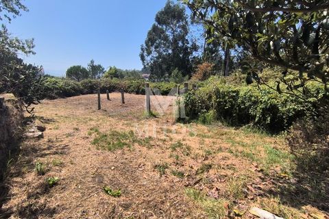 Villa i Viana do Castelo, Viana do Castelo, Viana do Castelo - € 340.000 | Ref: D374 - foto 17