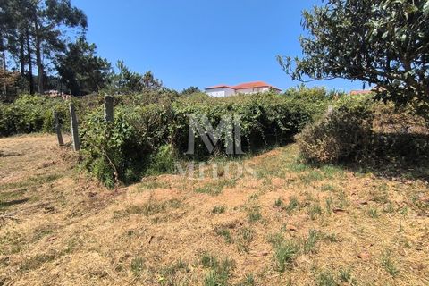 Villa i Viana do Castelo, Viana do Castelo, Viana do Castelo - € 340.000 | Ref: D374 - foto 18