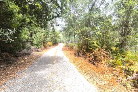 Helårsgrund i Barcelos, Braga, Barcelos - € 45.000 | Ref: S215 - foto 3