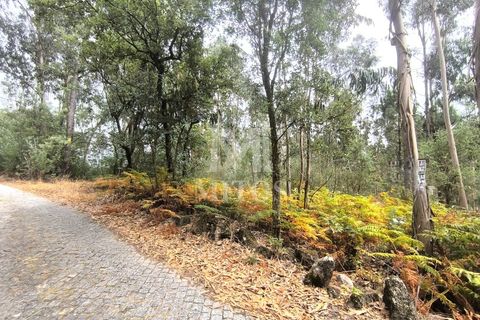 Helårsgrund i Barcelos, Braga, Barcelos - € 45.000 | Ref: S215 - foto 1