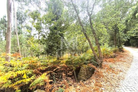 Helårsgrund i Barcelos, Braga, Barcelos - € 45.000 | Ref: S215 - foto 2