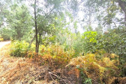 Helårsgrund i Barcelos, Braga, Barcelos - € 45.000 | Ref: S215 - foto 5