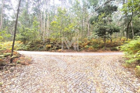 Helårsgrund i Barcelos, Braga, Barcelos - € 45.000 | Ref: S215 - foto 6