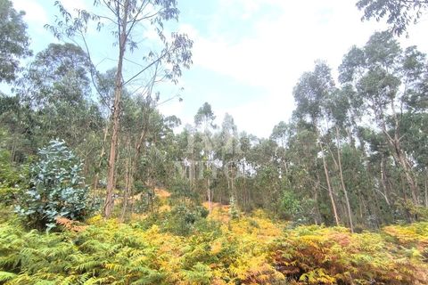 Helårsgrund i Barcelos, Braga, Barcelos - € 45.000 | Ref: S215 - foto 9