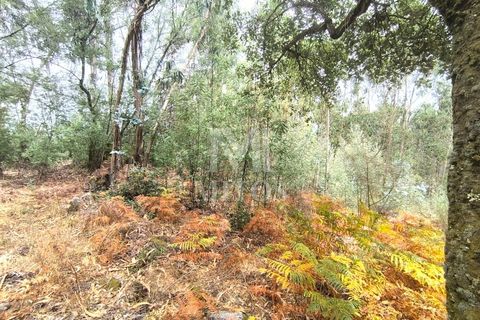Helårsgrund i Barcelos, Braga, Barcelos - € 45.000 | Ref: S215 - foto 10