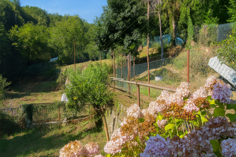 Villa a Rapallo, Genoa, Rapallo - € 280.000 | Ref: a1305 - foto 11