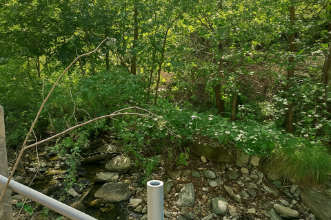 Villa a Rapallo, Genoa, Rapallo - € 280.000 | Ref: a1305 - foto 13