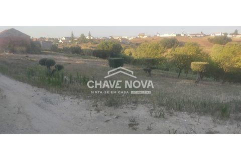 Helårsgrund i Aveiras de Cima, Lisbon, Aveiras de Cima - € 49.000 | Ref: LX/02426 - foto 3
