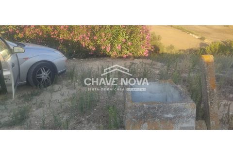 Helårsgrund i Aveiras de Cima, Lisbon, Aveiras de Cima - € 49.000 | Ref: LX/02426 - foto 5