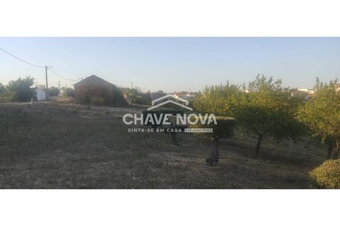 Helårsgrund i Aveiras de Cima, Lisbon, Aveiras de Cima - € 49.000 | Ref: LX/02426 - foto 6