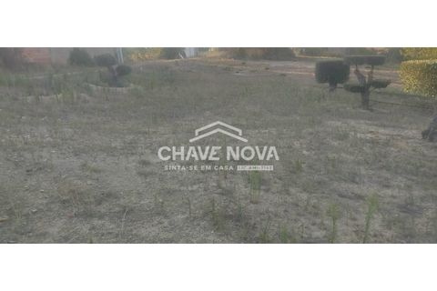 Helårsgrund i Aveiras de Cima, Lisbon, Aveiras de Cima - € 49.000 | Ref: LX/02426 - foto 7