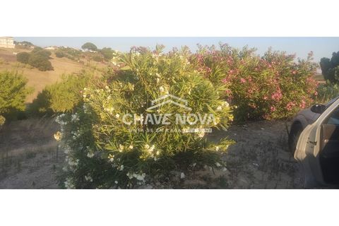 Helårsgrund i Aveiras de Cima, Lisbon, Aveiras de Cima - € 49.000 | Ref: LX/02426 - foto 8