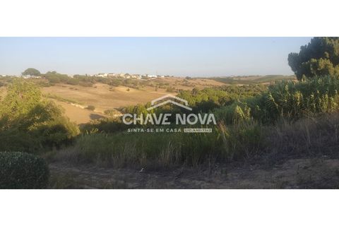 Helårsgrund i Aveiras de Cima, Lisbon, Aveiras de Cima - € 49.000 | Ref: LX/02426 - foto 9