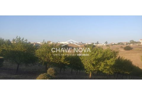 Helårsgrund i Aveiras de Cima, Lisbon, Aveiras de Cima - € 49.000 | Ref: LX/02426 - foto 10