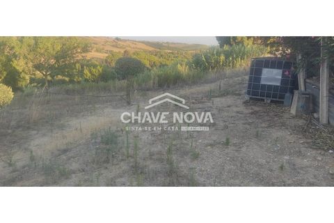 Helårsgrund i Aveiras de Cima, Lisbon, Aveiras de Cima - € 49.000 | Ref: LX/02426 - foto 11