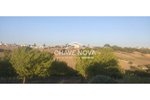 Helårsgrund i Aveiras de Cima, Lisbon, Aveiras de Cima - € 49.000 | Ref: LX/02426 - foto 12