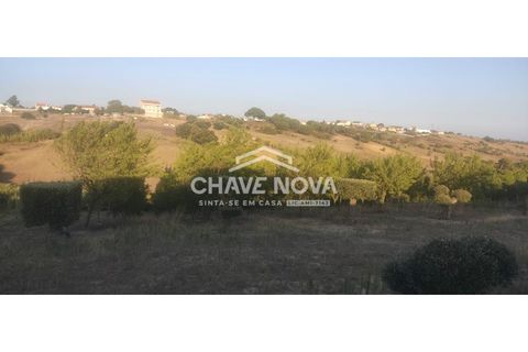 Helårsgrund i Aveiras de Cima, Lisbon, Aveiras de Cima - € 49.000 | Ref: LX/02426 - foto 13