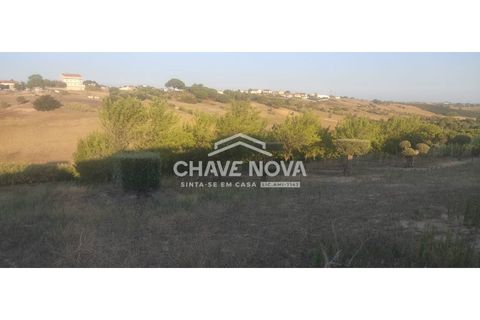 Helårsgrund i Aveiras de Cima, Lisbon, Aveiras de Cima - € 49.000 | Ref: LX/02426 - foto 14