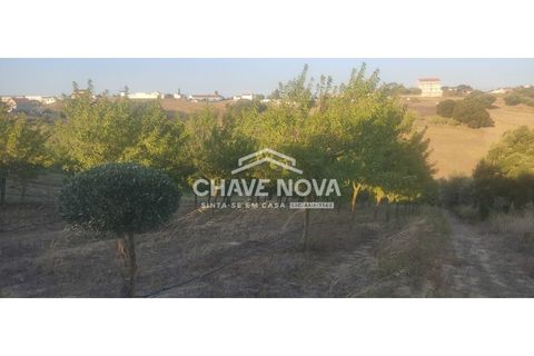 Helårsgrund i Aveiras de Cima, Lisbon, Aveiras de Cima - € 49.000 | Ref: LX/02426 - foto 15
