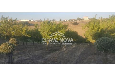 Helårsgrund i Aveiras de Cima, Lisbon, Aveiras de Cima - € 49.000 | Ref: LX/02426 - foto 16