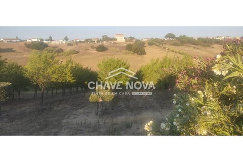 Helårsgrund i Aveiras de Cima, Lisbon, Aveiras de Cima - € 49.000 | Ref: LX/02426 - foto 19