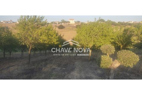 Helårsgrund i Aveiras de Cima, Lisbon, Aveiras de Cima - € 49.000 | Ref: LX/02426 - foto 21