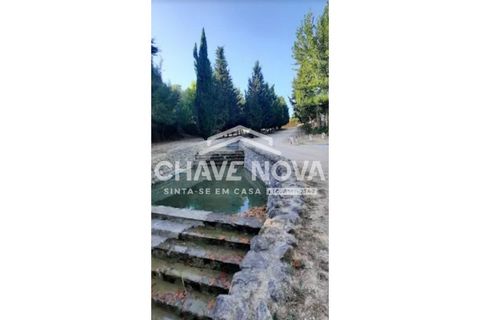 Helårsgrund i Aveiras de Cima, Lisbon, Aveiras de Cima - € 49.000 | Ref: LX/02426 - foto 24