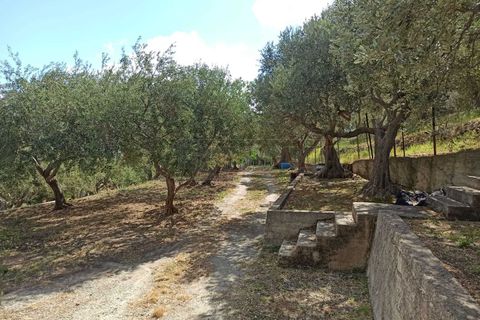 Villa a Messina, Messina, Messina - € 75.000 | Ref: 43-25 - foto 2