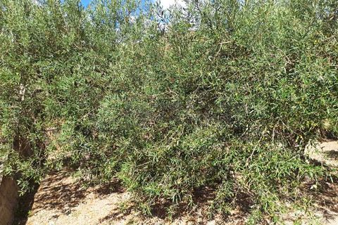 Villa a Messina, Messina, Messina - € 75.000 | Ref: 43-25 - foto 5