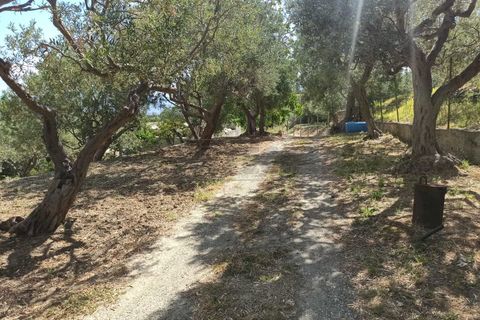 Villa a Messina, Messina, Messina - € 75.000 | Ref: 43-25 - foto 6