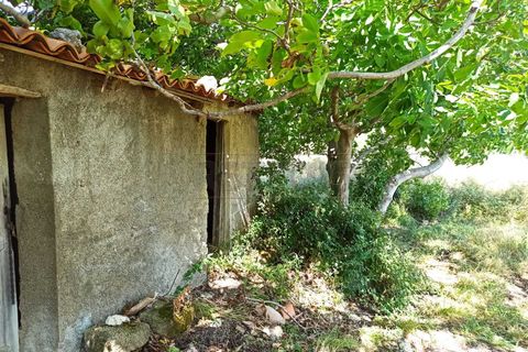 Villa a Messina, Messina, Messina - € 75.000 | Ref: 43-25 - foto 12