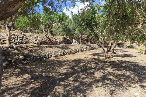 Villa a Messina, Messina, Messina - € 75.000 | Ref: 43-25 - foto 13
