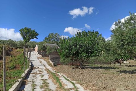 Villa a Messina, Messina, Messina - € 75.000 | Ref: 43-25 - foto 16