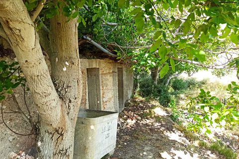 Villa a Messina, Messina, Messina - € 75.000 | Ref: 43-25 - foto 19