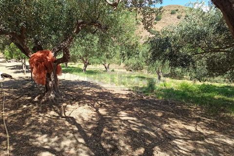 Villa a Messina, Messina, Messina - € 75.000 | Ref: 43-25 - foto 22
